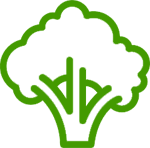Green Super Foods